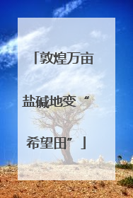 敦煌万亩盐碱地变“希望田”