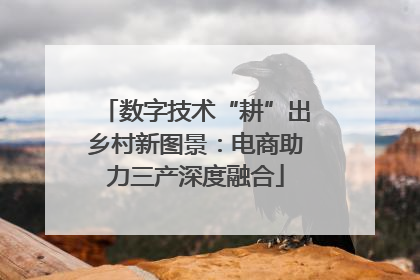 数字技术“耕”出乡村新图景：电商助力三产深度融合
