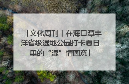 文化周刊丨在海口潭丰洋省级湿地公园打卡夏日里的“湿”情画意