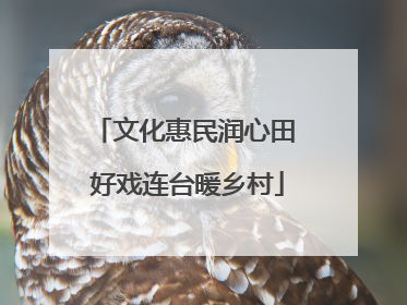 文化惠民润心田 好戏连台暖乡村