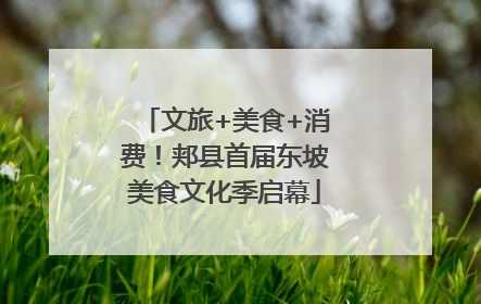 文旅+美食+消费！郏县首届东坡美食文化季启幕