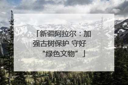 新疆阿拉尔：加强古树保护 守好“绿色文物”