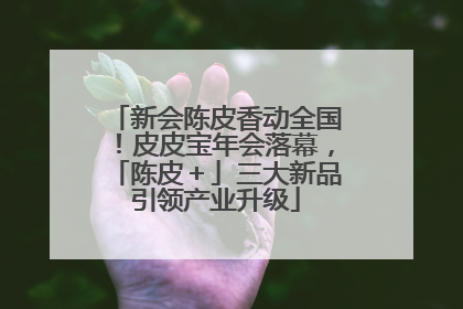 新会陈皮香动全国！皮皮宝年会落幕，「陈皮＋」三大新品引领产业升级