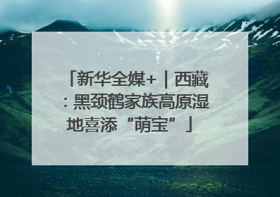 新华全媒+｜西藏：黑颈鹤家族高原湿地喜添“萌宝”