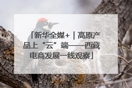 新华全媒+｜高原产品上“云”端——西藏电商发展一线观察