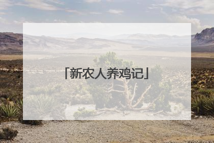 新农人养鸡记