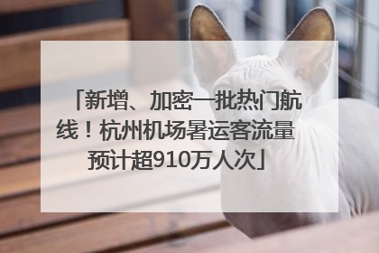 新增、加密一批热门航线！杭州机场暑运客流量预计超910万人次