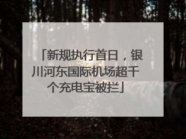新规执行首日，银川河东国际机场超千个充电宝被拦