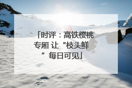 时评：高铁樱桃专厢 让“枝头鲜”每日可见