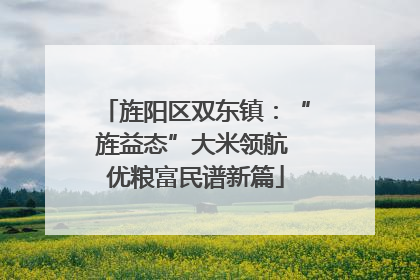 旌阳区双东镇：“旌益态”大米领航 优粮富民谱新篇