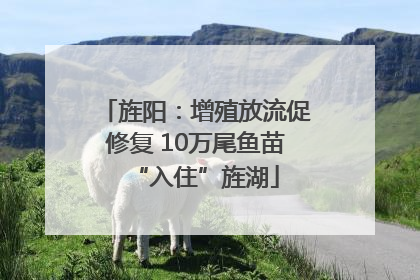 旌阳：增殖放流促修复 10万尾鱼苗“入住”旌湖