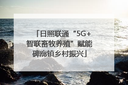 日照联通“5G+智联畜牧养殖”赋能碑廓镇乡村振兴