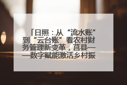 日照：从“流水账”到“云台账”看农村财务管理新变革，莒县——数字赋能激活乡村振兴“一池春水”