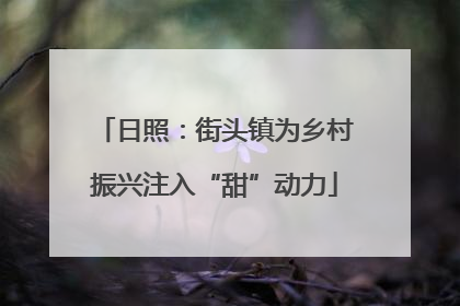 日照：街头镇为乡村振兴注入“甜”动力