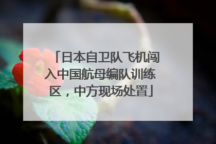 日本自卫队飞机闯入中国航母编队训练区，中方现场处置