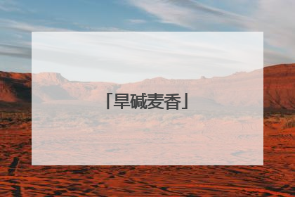 旱碱麦香