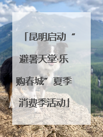 昆明启动“避暑天堂·乐购春城”夏季消费季活动