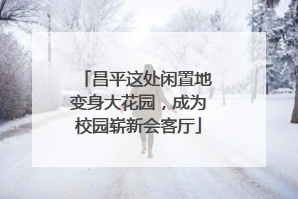 昌平这处闲置地变身大花园，成为校园崭新会客厅