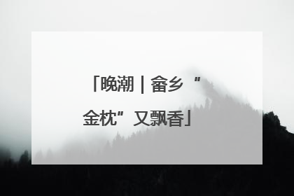 晚潮｜畲乡“金枕”又飘香
