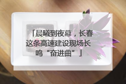 晨曦到夜幕，长春这条高速建设现场长鸣“奋进曲”