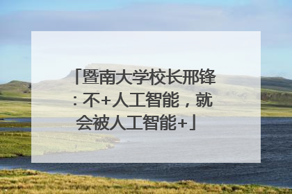 暨南大学校长邢锋：不+人工智能，就会被人工智能+