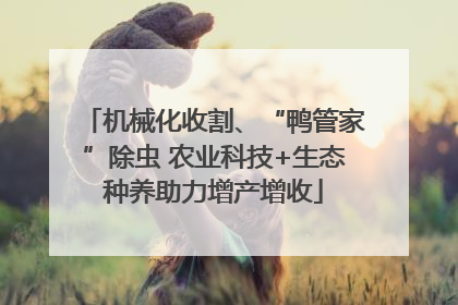 机械化收割、“鸭管家”除虫 农业科技+生态种养助力增产增收