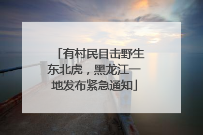 有村民目击野生东北虎，黑龙江一地发布紧急通知