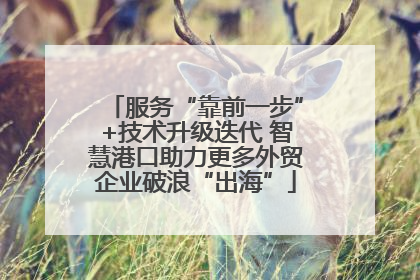 服务“靠前一步”+技术升级迭代 智慧港口助力更多外贸企业破浪“出海”