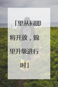望丛祠即将开放，锦里升级进行时