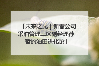 未来之光｜新春公司采油管理二区副经理孙哲的油田进化论