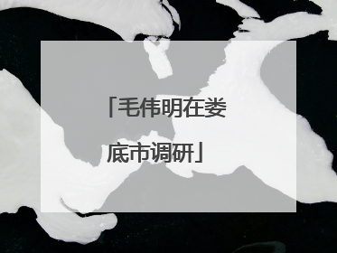 毛伟明在娄底市调研