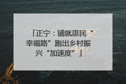 正宁：铺就惠民“幸福路”跑出乡村振兴“加速度”