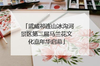 武威祁连山冰沟河景区第二届马兰花文化嘉年华启幕