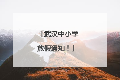 武汉中小学放假通知！