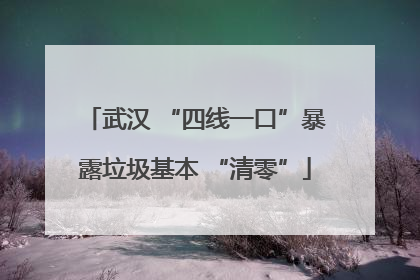 武汉 “四线一口”暴露垃圾基本 “清零”
