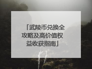 武陵币兑换全攻略及高价值权益收获指南