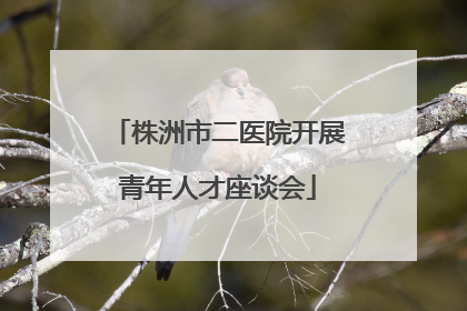 株洲市二医院开展青年人才座谈会