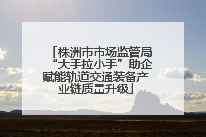 株洲市市场监管局“大手拉小手”助企赋能轨道交通装备产业链质量升级