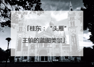 桂东：“头雁”王镇的蓝图美景