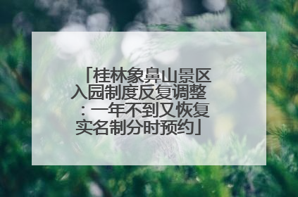 桂林象鼻山景区入园制度反复调整：一年不到又恢复实名制分时预约