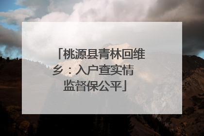 桃源县青林回维乡：入户查实情 监督保公平