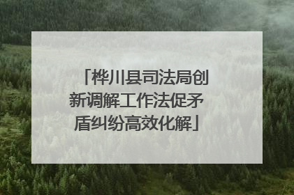 桦川县司法局创新调解工作法促矛盾纠纷高效化解