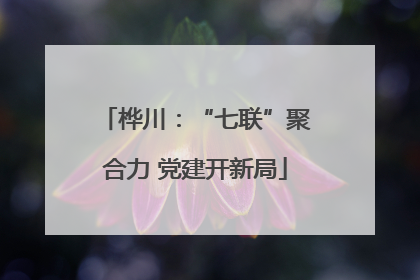 桦川：“七联”聚合力 党建开新局