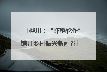 桦川：“虾稻轮作”铺开乡村振兴新画卷