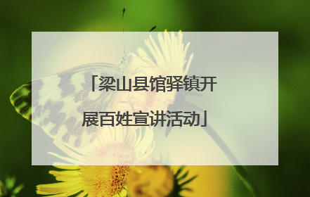 梁山县馆驿镇开展百姓宣讲活动