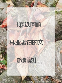森铁回响 林业老镇的文旅新韵