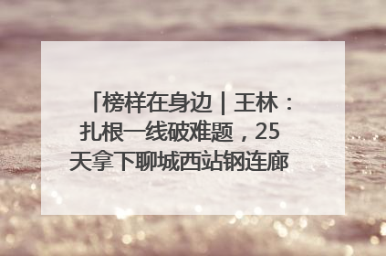 榜样在身边｜王林：扎根一线破难题，25天拿下聊城西站钢连廊“硬核”工程