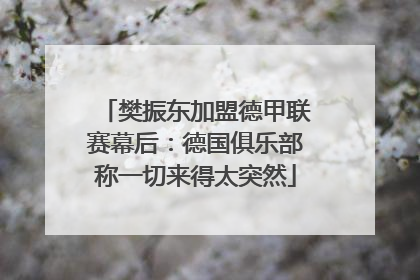 樊振东加盟德甲联赛幕后：德国俱乐部称一切来得太突然