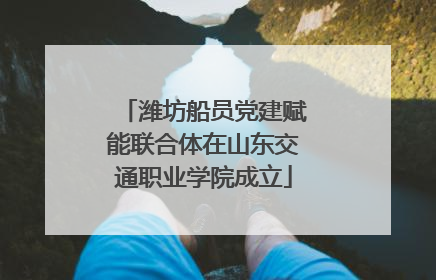 潍坊船员党建赋能联合体在山东交通职业学院成立