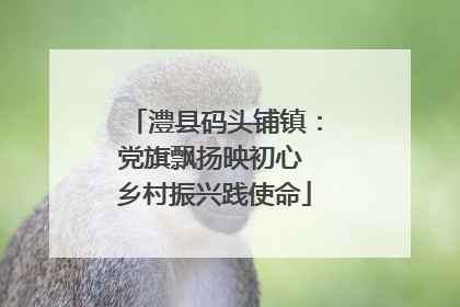 澧县码头铺镇：党旗飘扬映初心 乡村振兴践使命